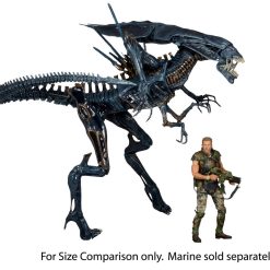 NECA Aliens Ultra Deluxe Boxed Action Figure – Xenomorph Queen