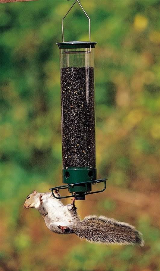 Droll Yankees Flipper Tube Bird Feeder, Green - Image 3