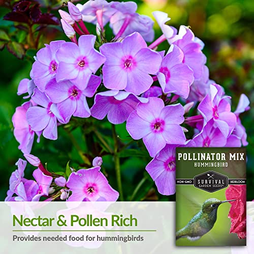 Survival Garden Seeds – Hummingbird Pollinator Mix Wildflower Seed for Planting – Packet with Instructions to Plant and Grow Flowering Plants in Your Home Vegetable Garden – Non-GMO Heirloom Varieties - Image 3