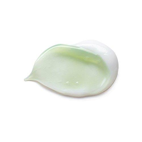 Elemis Biotec Skin Energising Combination Day Cream 30 ml - Image 7