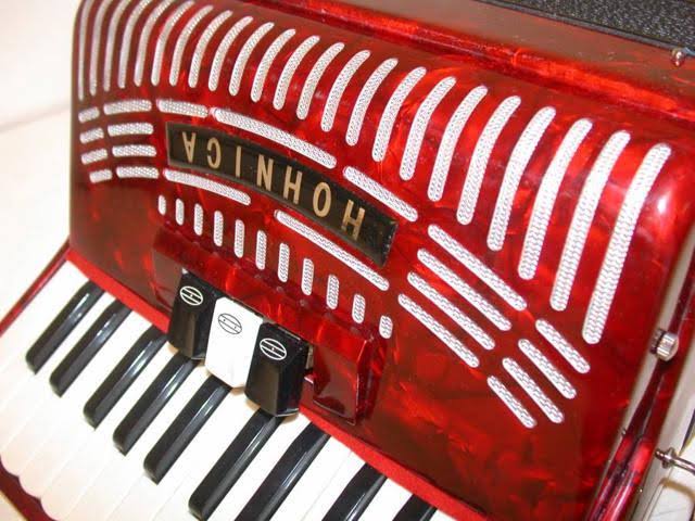 Hohner 48-BASS Accordion, Red - Image 4