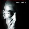 Rogue: Section 31 (Star Trek: The Next Generation Book 2)