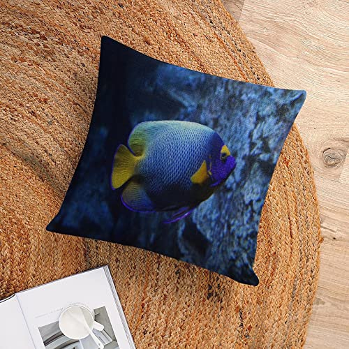 Cushion Pillow Cover Ocean Sea Starfish Zippered Pillow Cover Underwater Sea World Fish Nautical Ocean Throw Pillow Covers 18×18 Pillows for Couch Sofa Patio Furniture Home Decor - Image 6