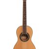 Ibanez PN1 NT Performance Series PN Parlor Acoustic Guitar – Natural High Gloss