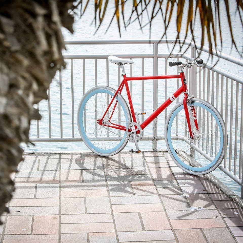The OFW II – 52cm – Fixed Gear Single Speed Bikes – Sol?? Bicycle Co. - Image 8
