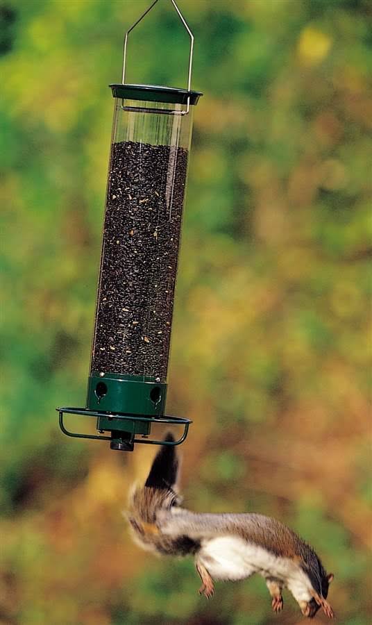 Droll Yankees Flipper Tube Bird Feeder, Green - Image 4