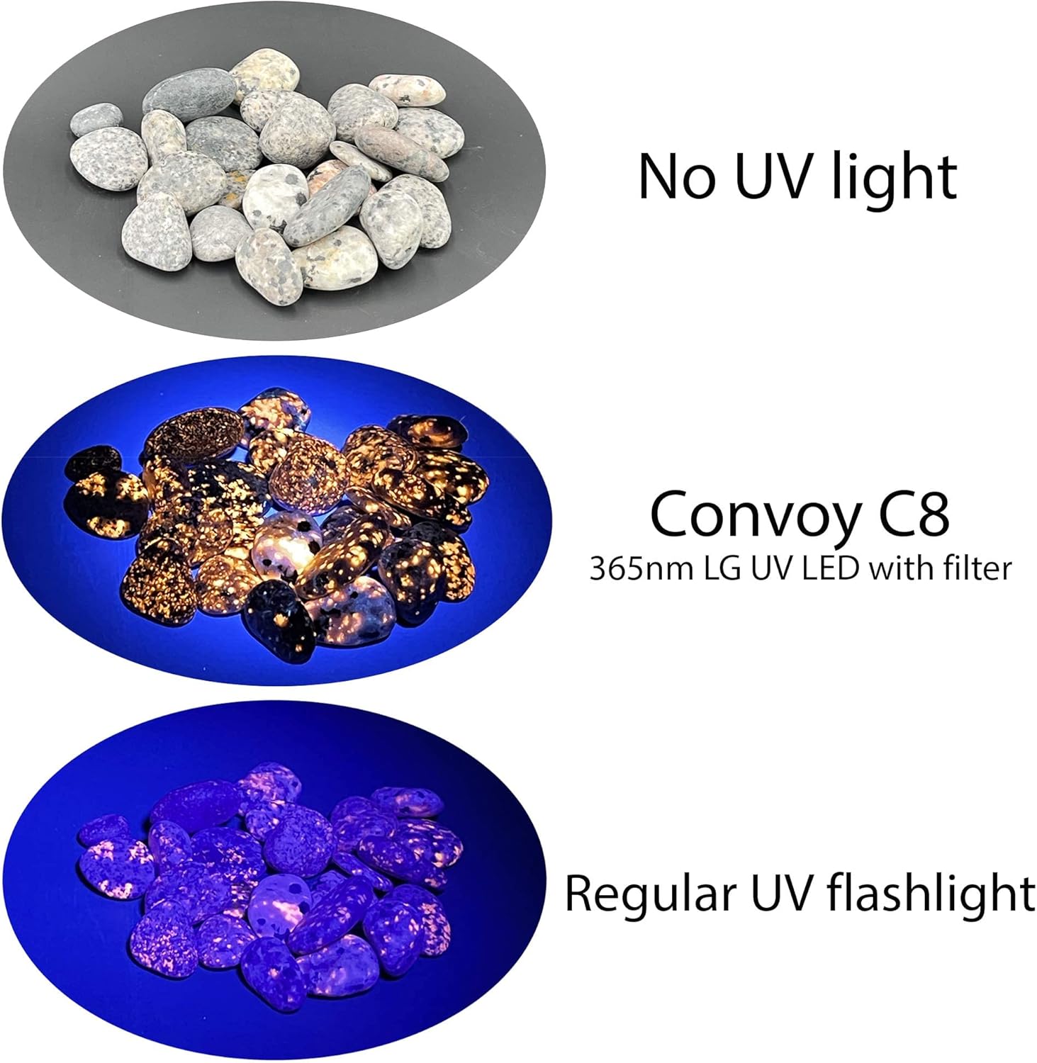 Convoy C8 + 365nm UV LED Flashlight with Patented Glass Filter - Image 3