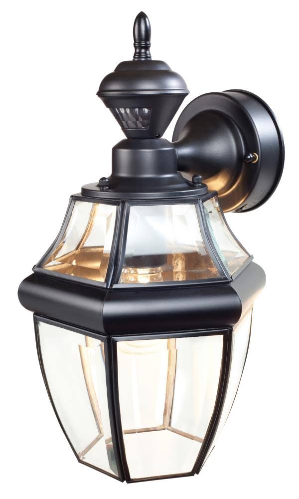 Secure Home Hanging Carriage 14.5-in H Black Medium Base (E-26) Outdoor Wall Light