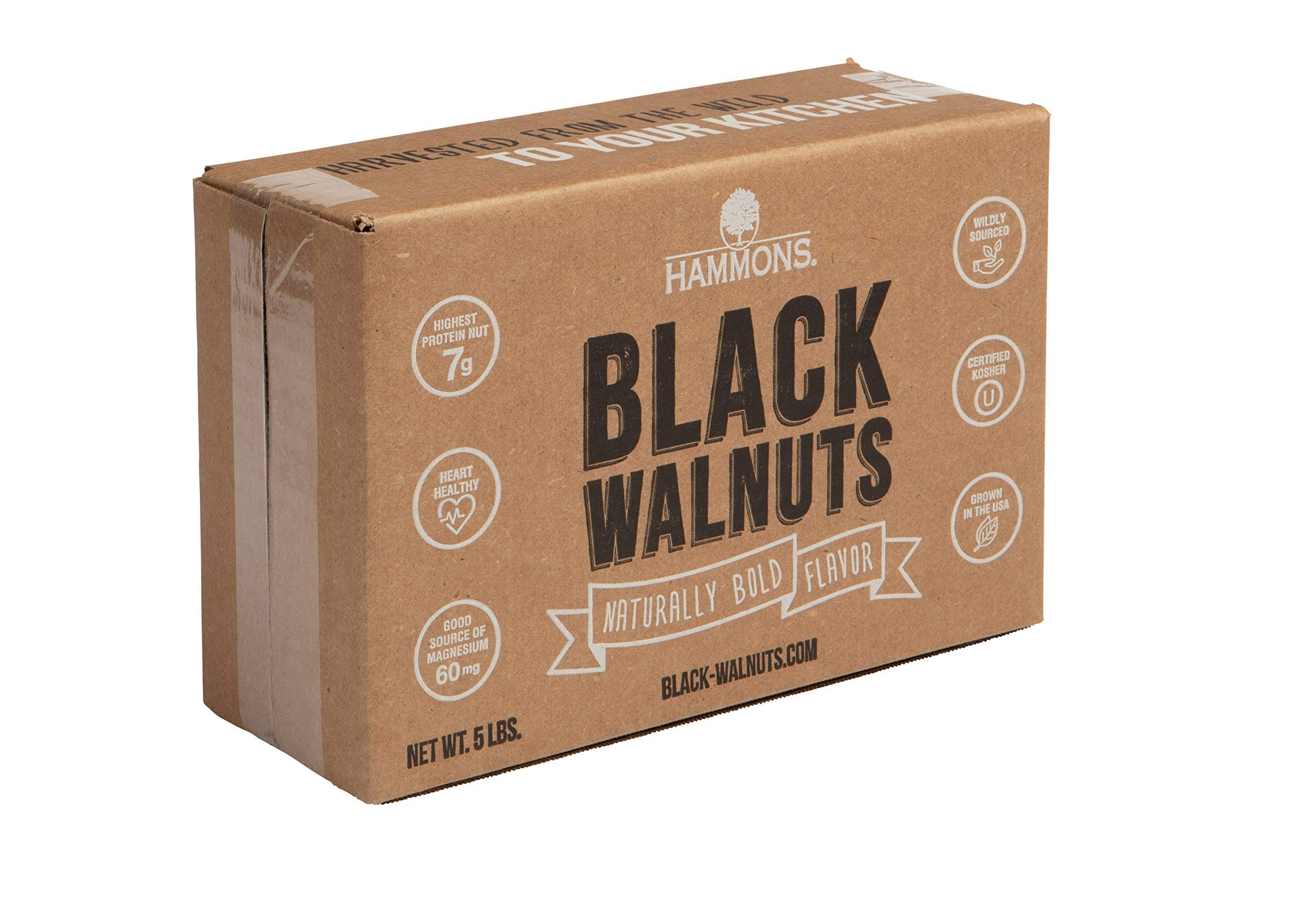 Hammons Black Walnuts – Fancy Large Kernels 5 lb - Image 2