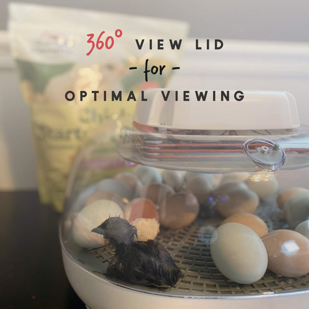 Manna Pro Harris Farms Nurture Right Incubator | Egg Incubator for Hatching Chicks | 360 Degree View - Image 5