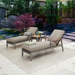 LOKATSE HOME Outdoor Patio Chaise Lounge Chair Cushion Furniture Reclining Adjustable with Armrest for Pool, Deck or Yard, Dark Gray