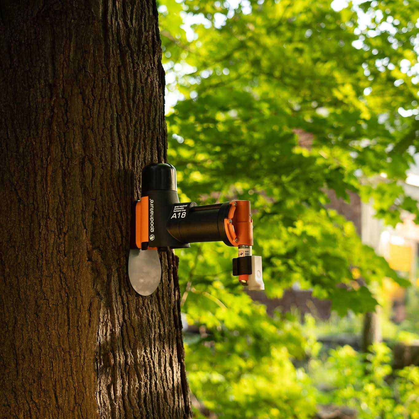 Goodnature A18 Squirrel Trap Kit - Image 4