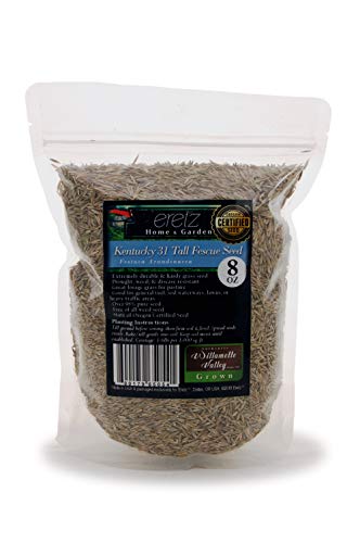 Kentucky 31 K31 Tall Fescue Grass Seed by Eretz – Choose Size! State Certified, No fillers, No Weed or Other Crop Seeds (3lbs) - Image 7