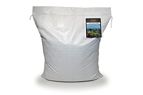 Kentucky 31 K31 Tall Fescue Grass Seed by Eretz – Choose Size! State Certified, No fillers, No Weed or Other Crop Seeds (3lbs) - Image 9