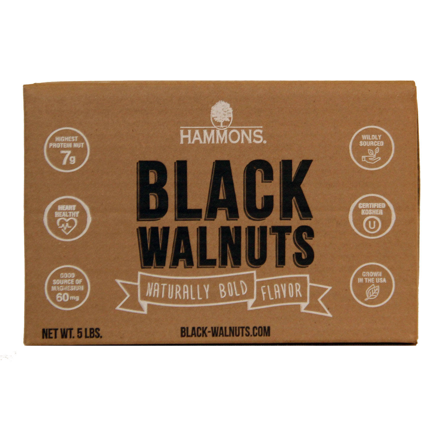 Hammons Black Walnuts – Fancy Large Kernels 5 lb