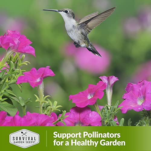 Survival Garden Seeds – Hummingbird Pollinator Mix Wildflower Seed for Planting – Packet with Instructions to Plant and Grow Flowering Plants in Your Home Vegetable Garden – Non-GMO Heirloom Varieties - Image 6