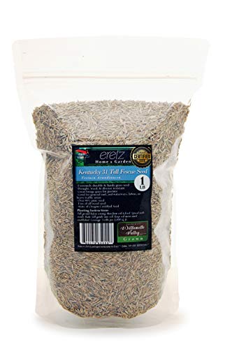 Kentucky 31 K31 Tall Fescue Grass Seed by Eretz – Choose Size! State Certified, No fillers, No Weed or Other Crop Seeds (3lbs) - Image 2