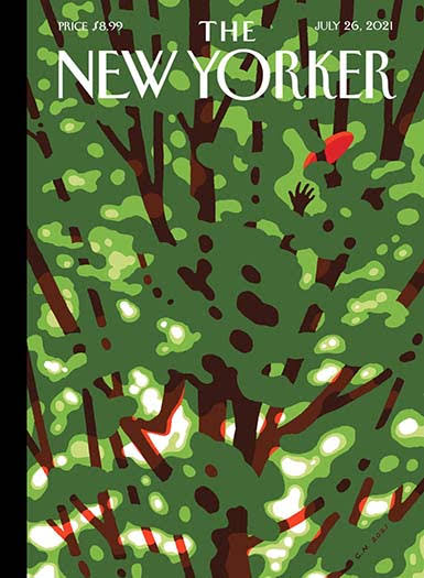 The New Yorker Magazine Subscription, 48 Issues, Culture Magazine Subscriptions | magazine.store