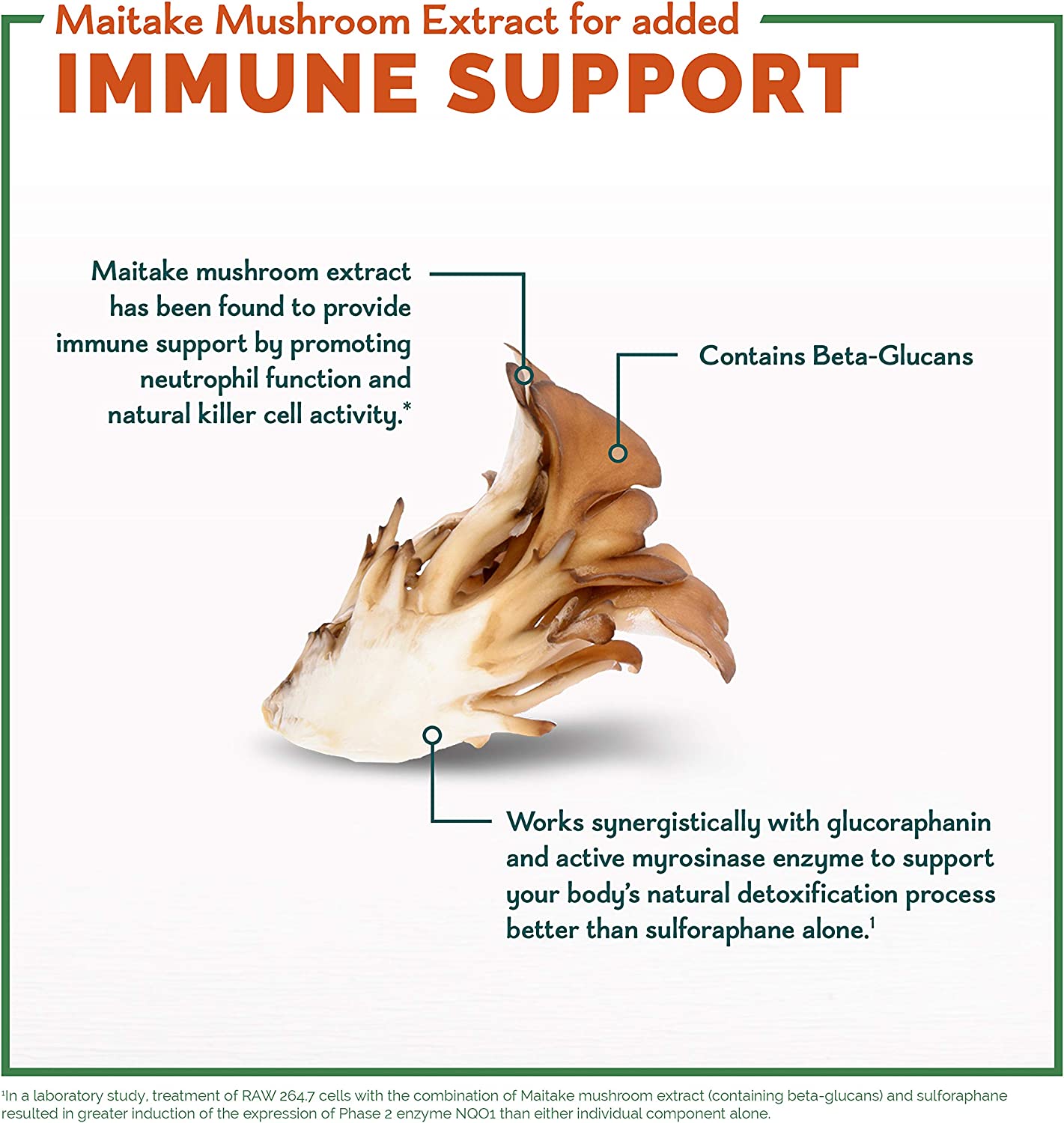 Avmacol Extra Strength Sulforaphane Production System for Immune Support, 75 Tablets - Image 4