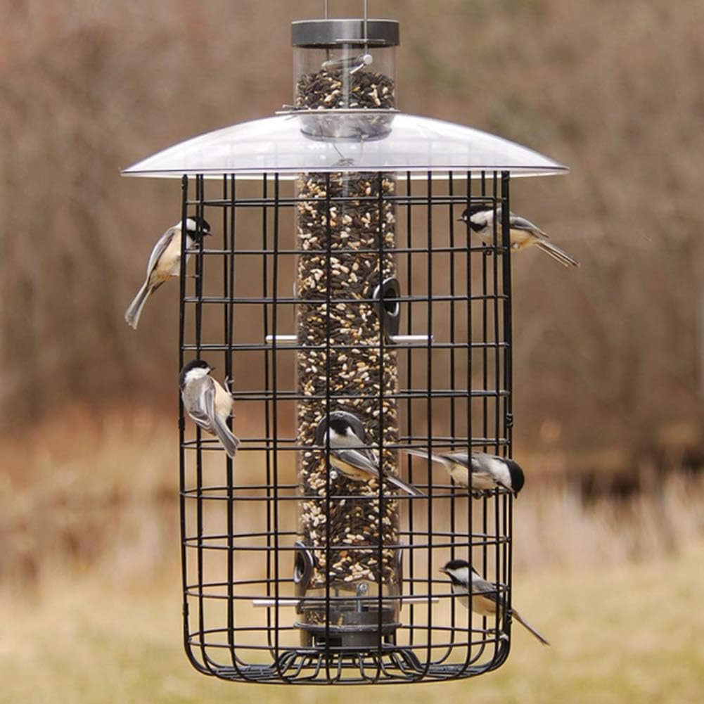 Droll Yankees 344305 Squirrel Proof, Caged Sunflower Bird Feeder, 20-Inch, Black - Image 7